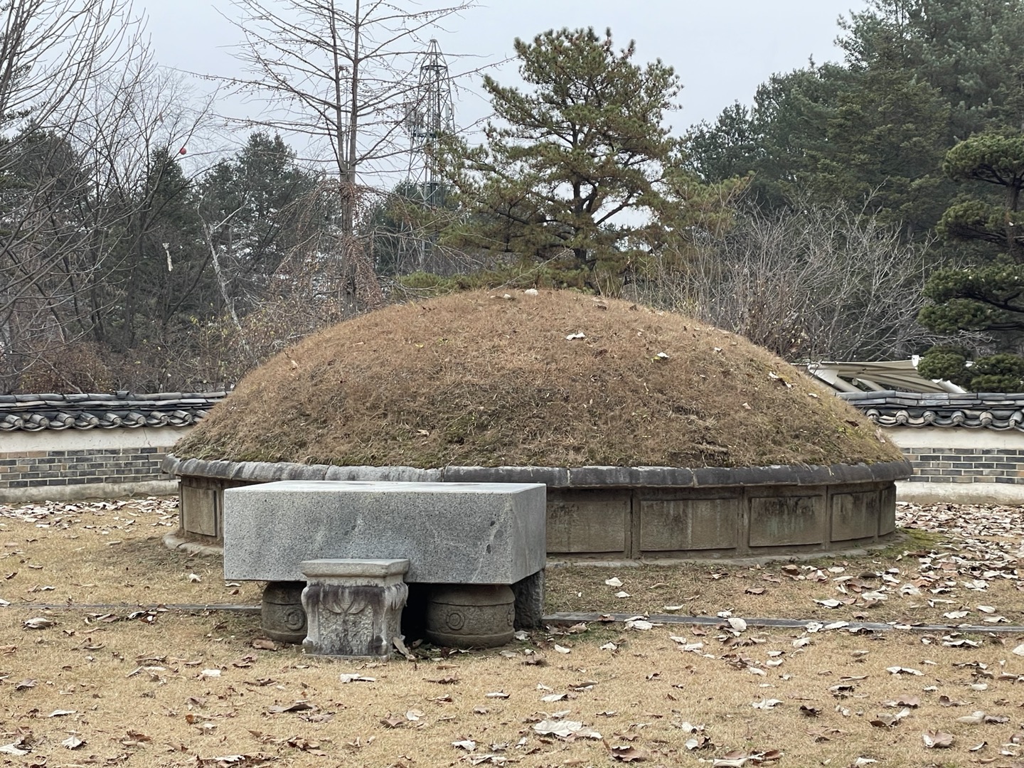 남이장군