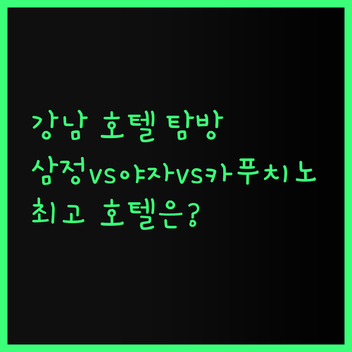 강남 호텔 탐방기 삼정호텔vs호텔야자