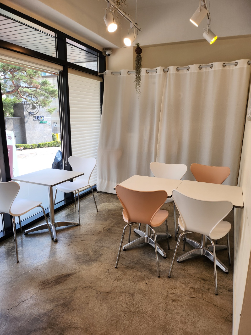 호평동 빵집 맛집 빵야