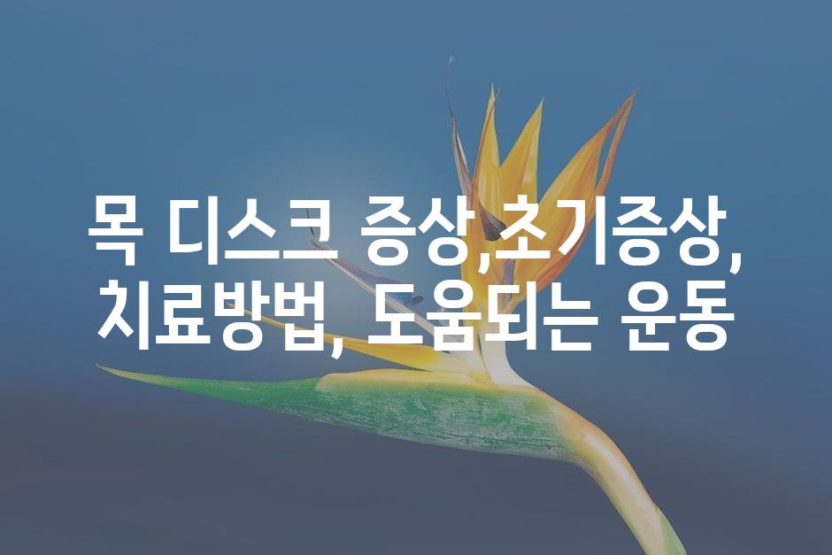 샘플 (45)