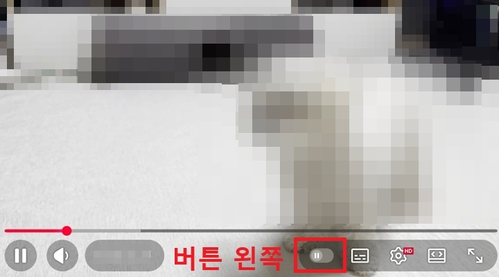 화면 하단에 다음 영상 자동 재생 버튼 보임