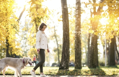 ์ค์ฅ๋
๊ฑด๊ฐ์๋ช
๋๋ฆฌ๊ธฐ ์ํ ์์ต๊ด๊ณผ ์ด๋ ์ต๊ด ์ด์ ๋ฆฌ