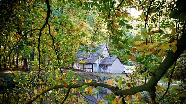 주거급여 신청자격과 지원금액 알아두면 유용한 정보