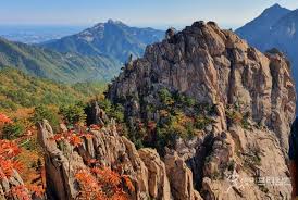 설악산 케이블카 요금안내 할인 및 운영시간