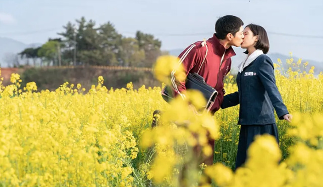 고창 학원농장 맛집 유채꽃 청보리밭 폭싹 속았수다 도깨비 촬영지