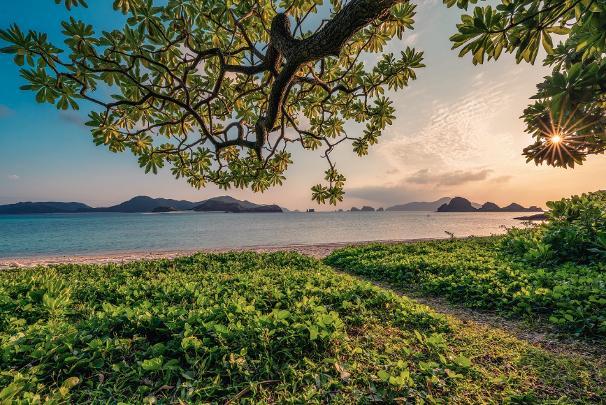한눈에 보는 말레이시아 여행지 비교