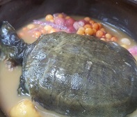 용봉탕