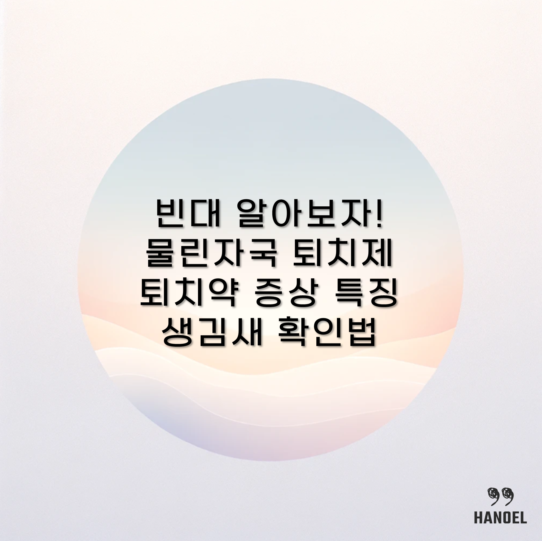 빈대 알아보자! 물린자국 퇴치제 퇴치약 증상 특징 생김새 확인법