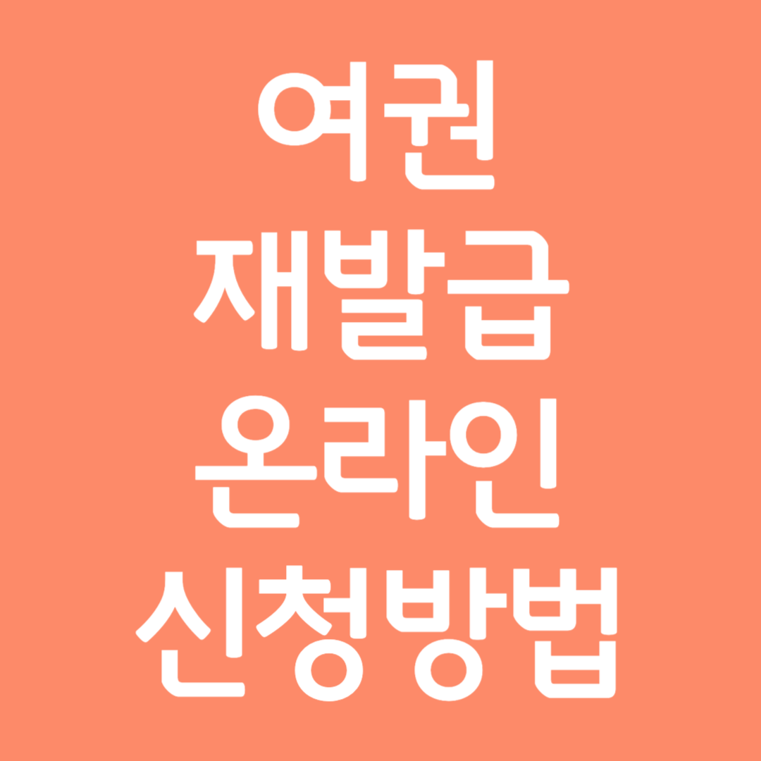 여권 재발급 온라인 신청방법