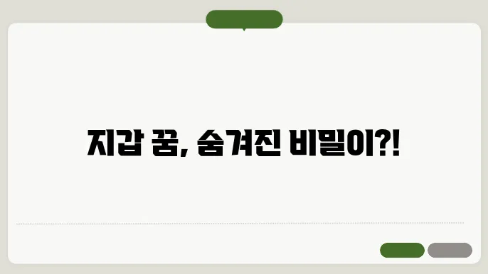 지갑 꿈해몽