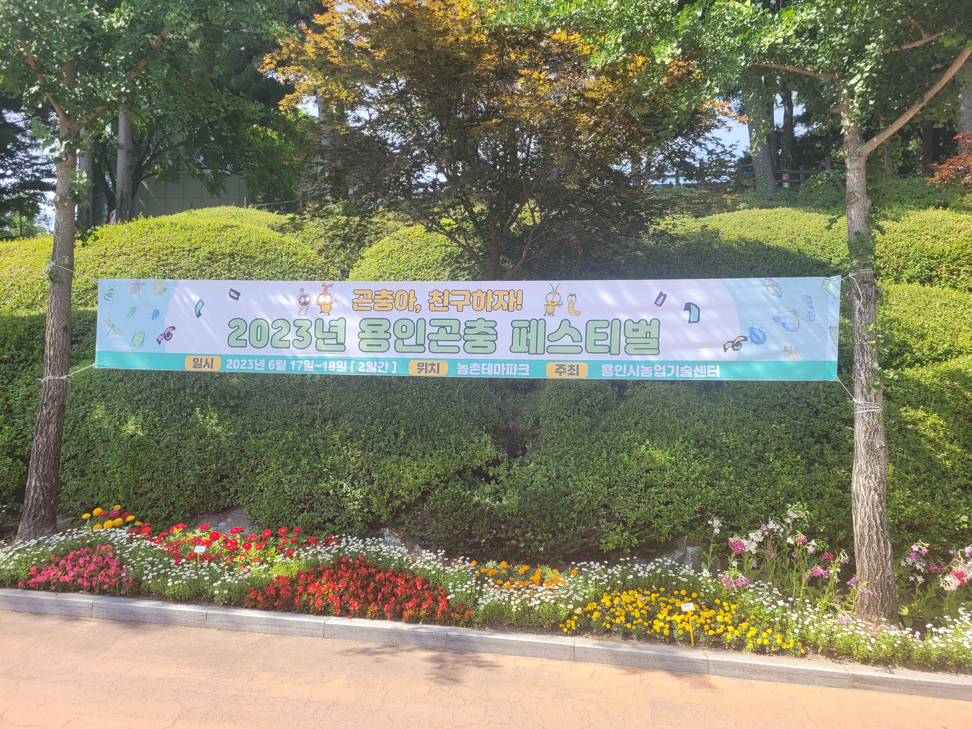 용인곤충페스티벌 안내