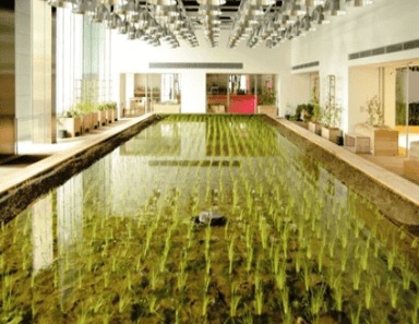 국제농업박람회