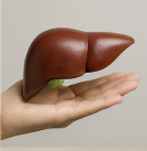 글루타치온 효능