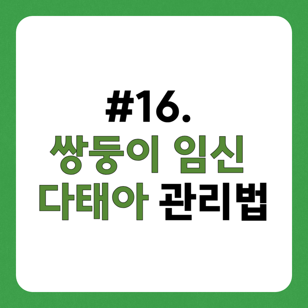 시험관 성공 후, 쌍둥이 임신 &amp; 다태아 관리법