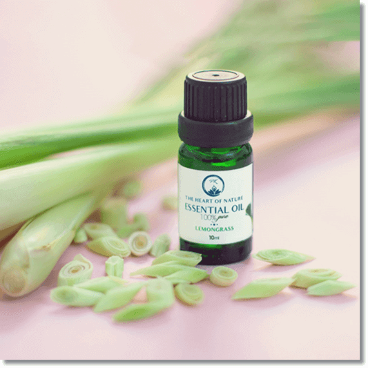 테르페노이드 오일 레몬 그라스 추출물