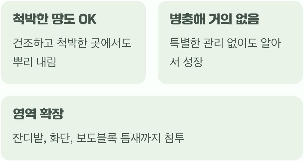 첫째, 아름다움 속에 감춰진 강력한 생존 본능