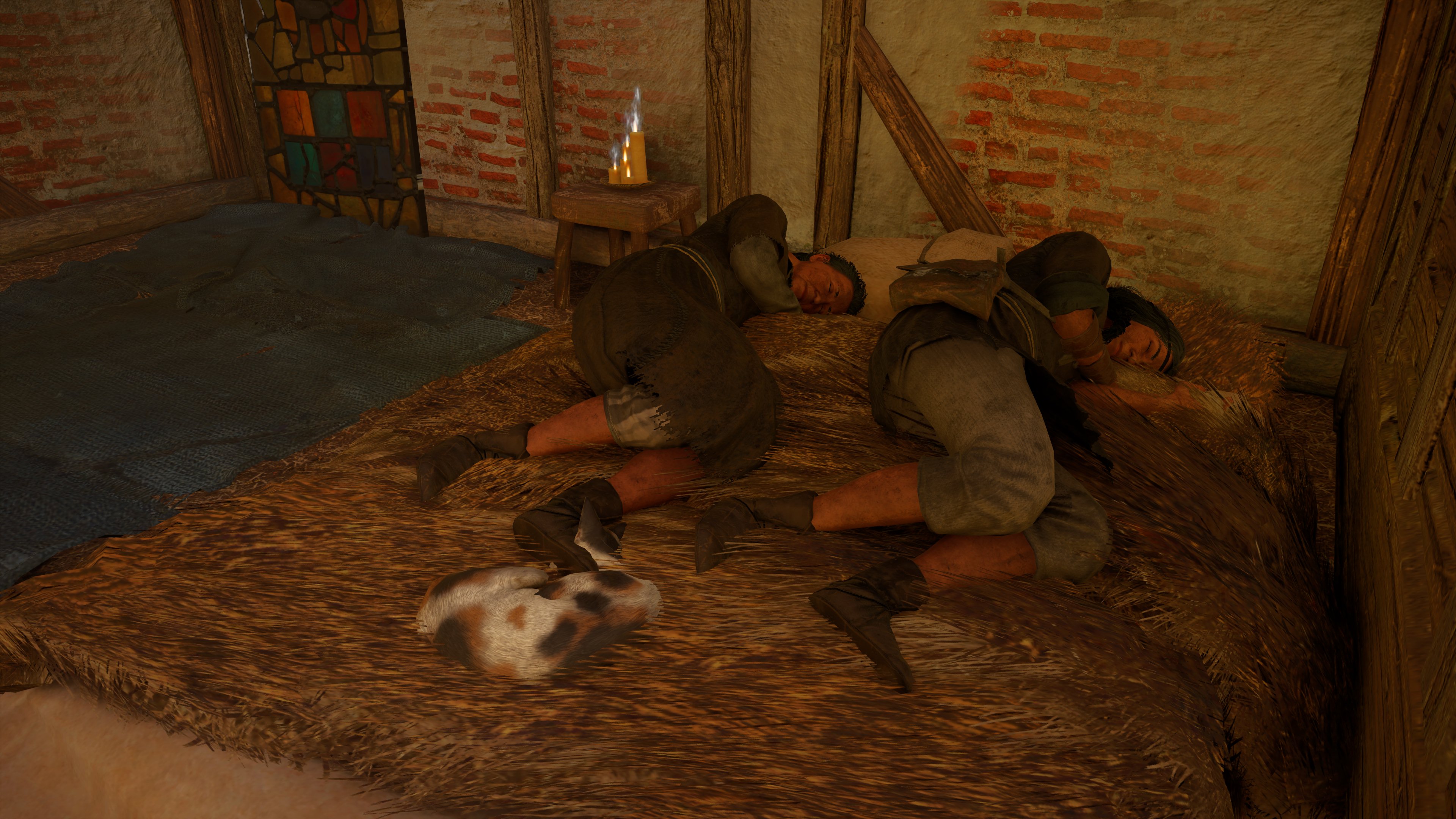 발할라 나만 고양이 없어