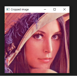 cropped image