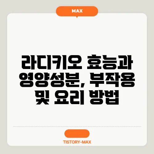 라디키오 효능과 영양성분, 부작용 및 요리 방법