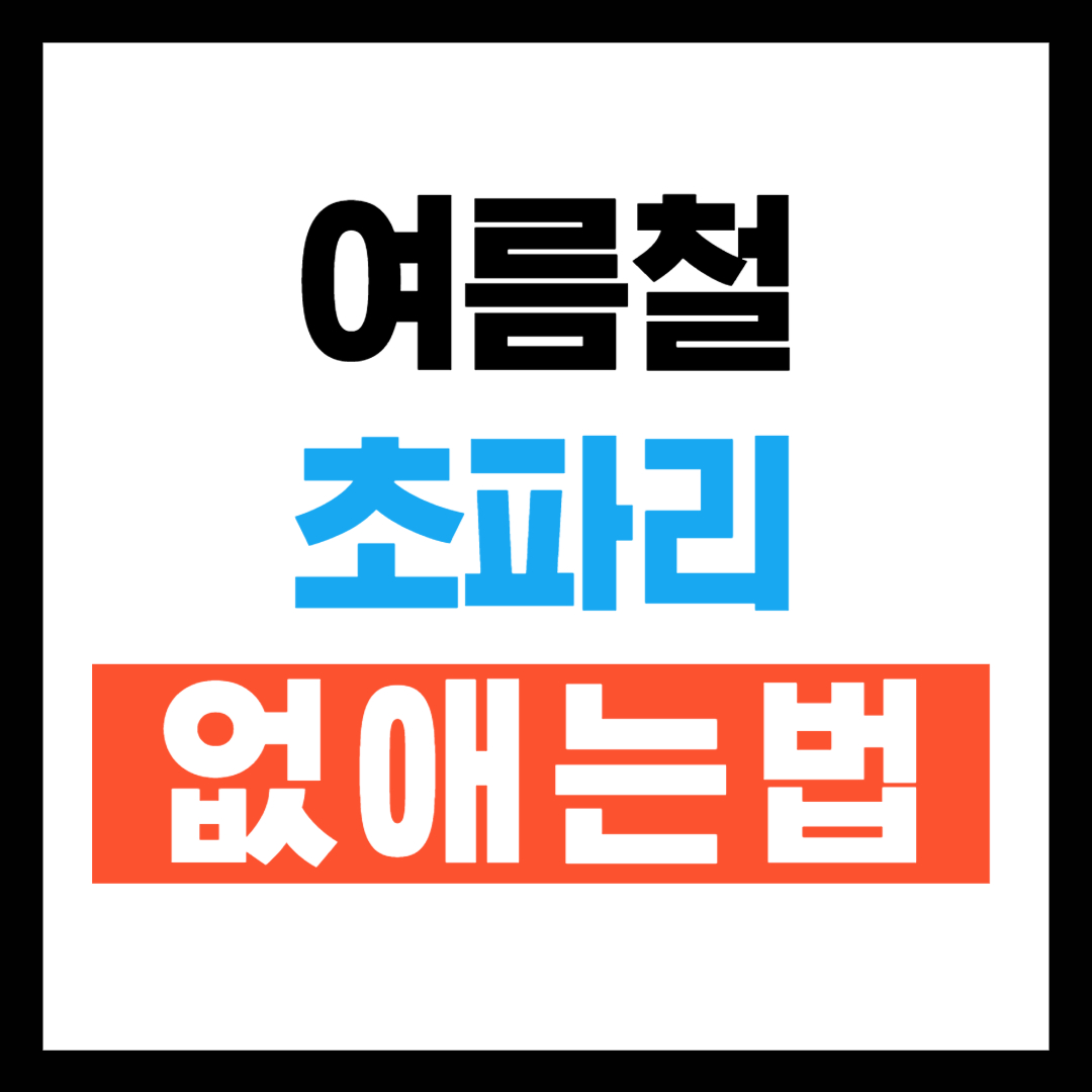 초파리 없애는 방법 TOP3