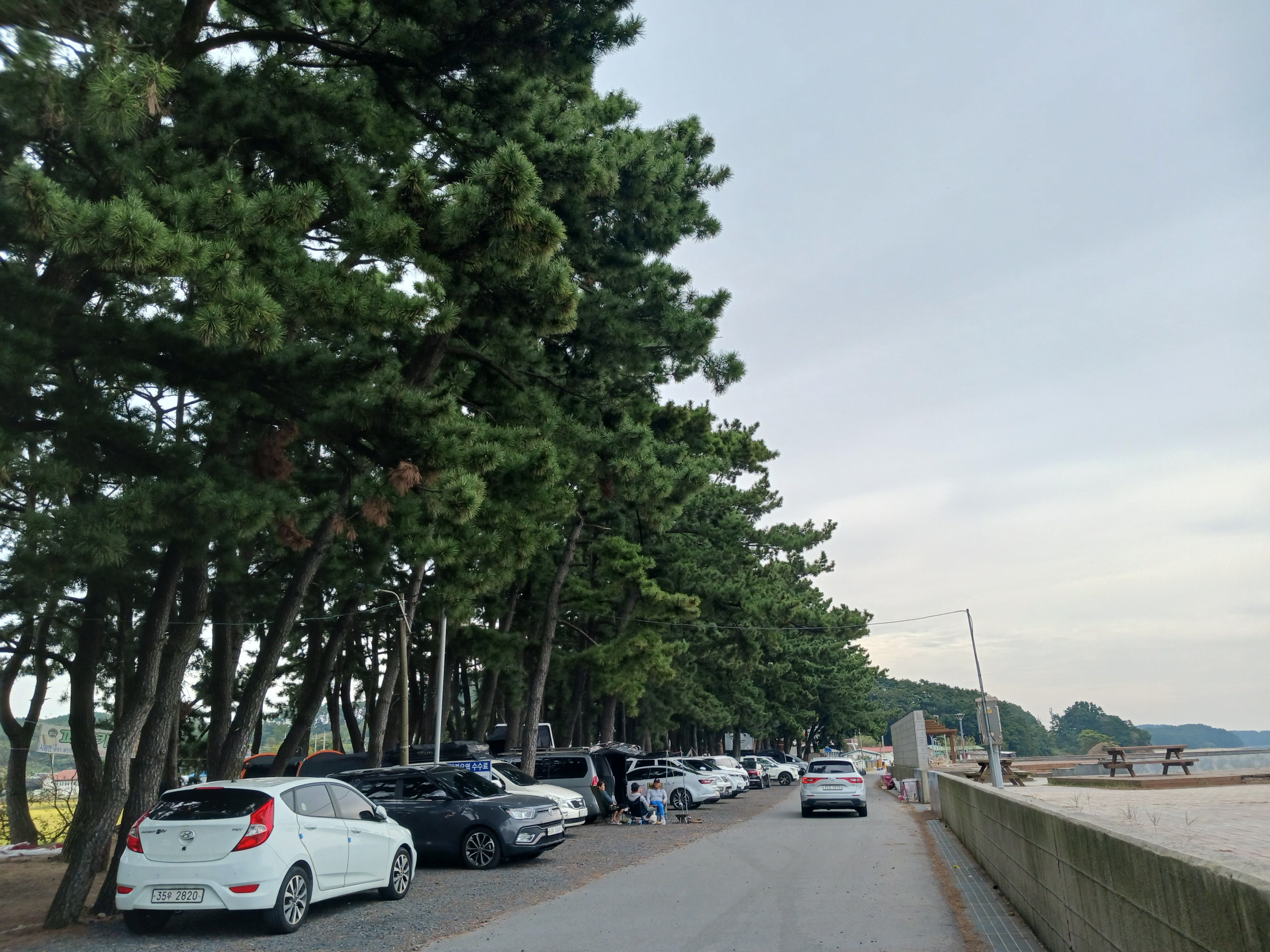 서천갯벌