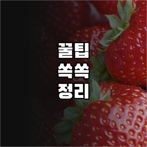 진안군 정착 돕는 2025 전입장려금..