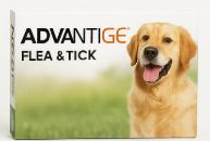 강아지 진드기약