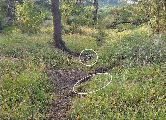 DMZ 지뢰 폭발 원인 북한 가능성