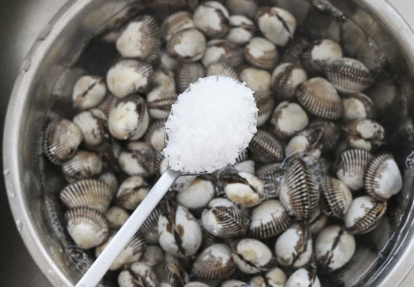 천일염 1스푼을 넣어 해감하는 꼬막