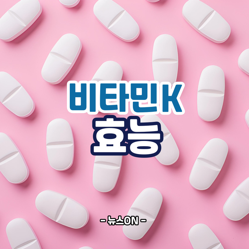 비타민K 효능