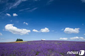 홋카이도 여름 여행코스 4박5일 일정과 맛집 정보 정리_19