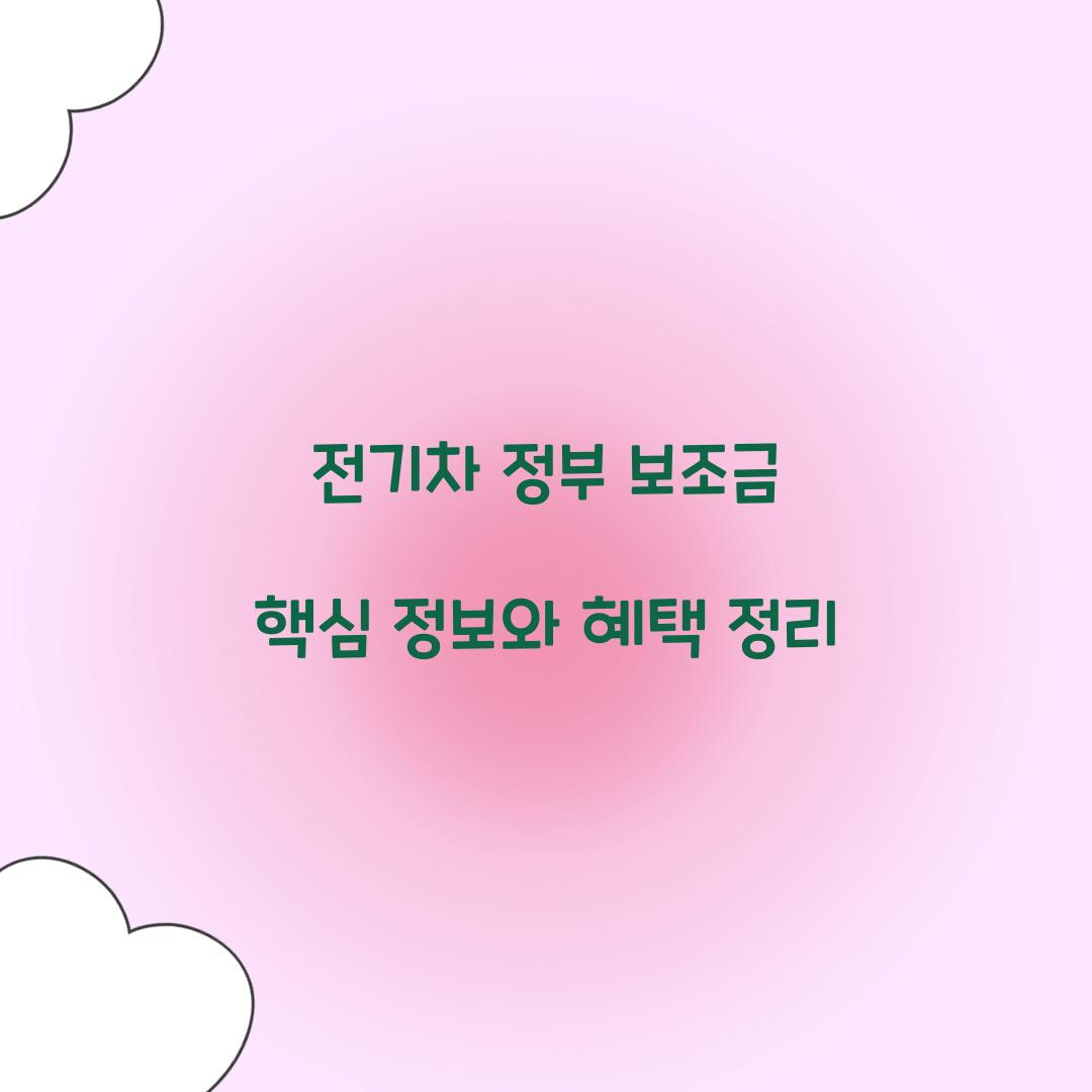 전기차 정부 보조금