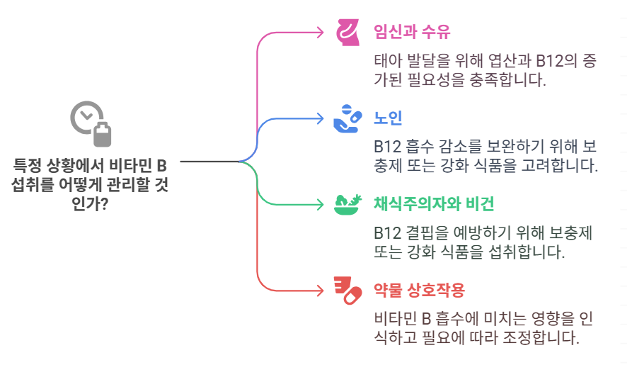 비타민B 섭취와 특정군 고려사항