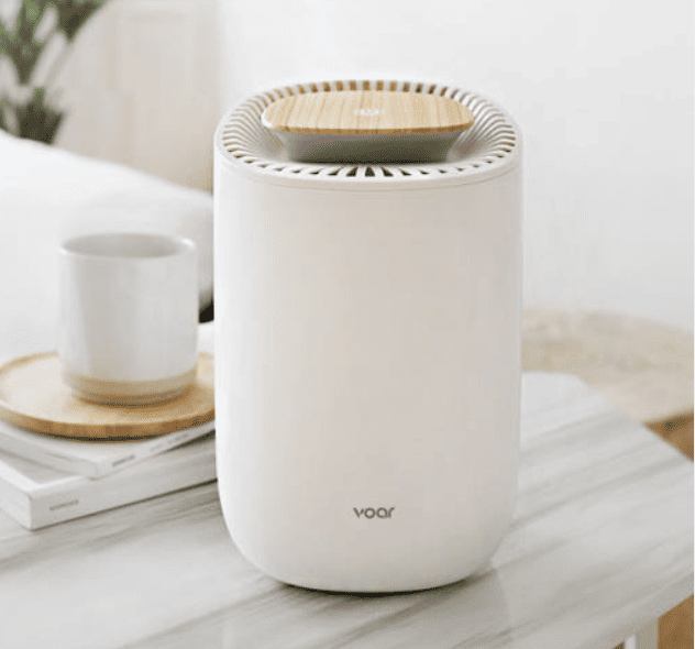 제습기 추천 순위 TOP 5(25년 5월) 네이버, 쿠팡 판매 랭킹 비교