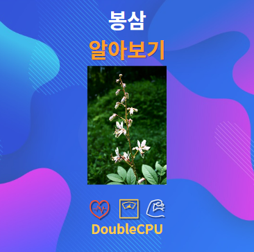 봉삼 알아보기