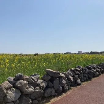 제주 가파도 가는 운진항 배 시간표 요금 예약 예매_16