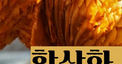 상황버섯 효능 부작용