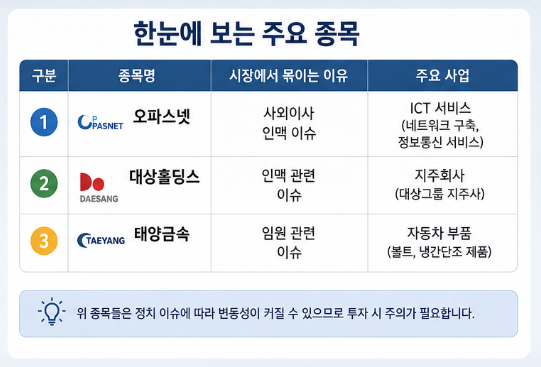 "아무도안알려줌..." 한동훈 관련주 오파스넷 대상홀딩스 태양금속 전부알려드림4