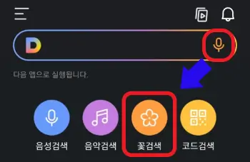 다음-앱의-꽃검색-버튼