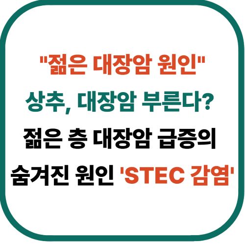 "젊은 대장암 원인"
상추, 대장암 부른다?&nbsp;
젊은 층 대장암 급증의&nbsp;
숨겨진 원인 'STEC 감염'