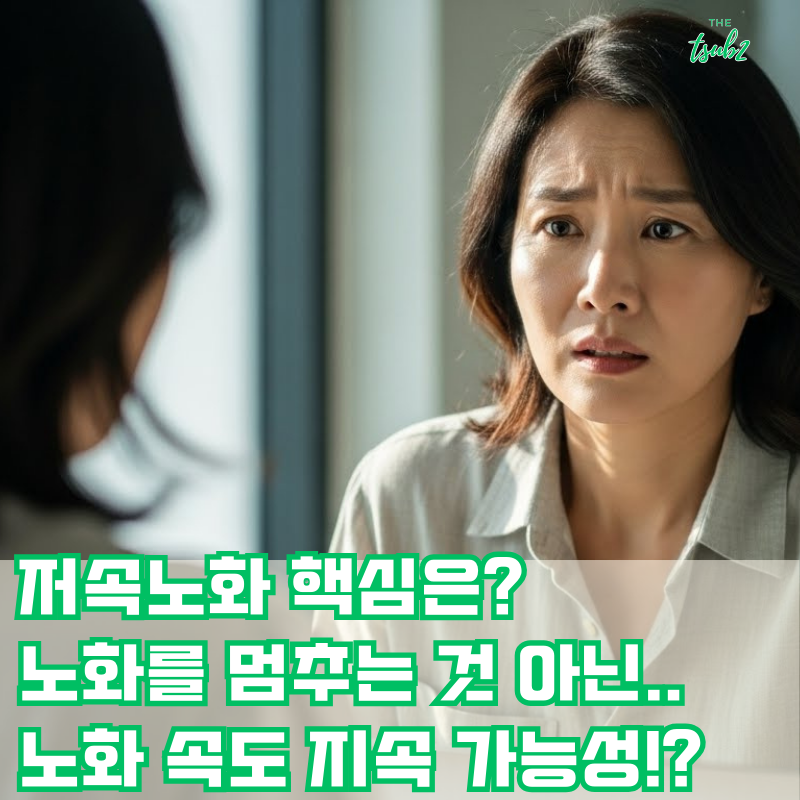 저속노화-식단-운동-지속성-썸네일