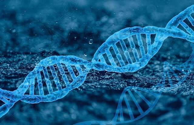 유전자 편집 기술: CRISPR-Cas9의 원리와 응용