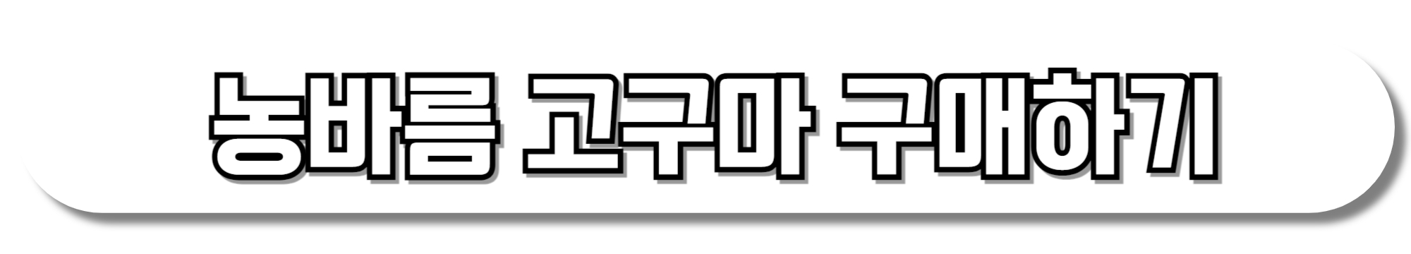 농바름-고구마-구매하기