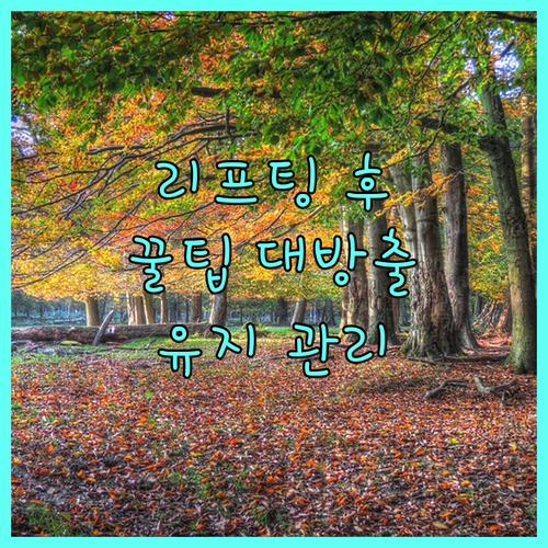 피부과 전문의가 알려주는 리프팅 후 