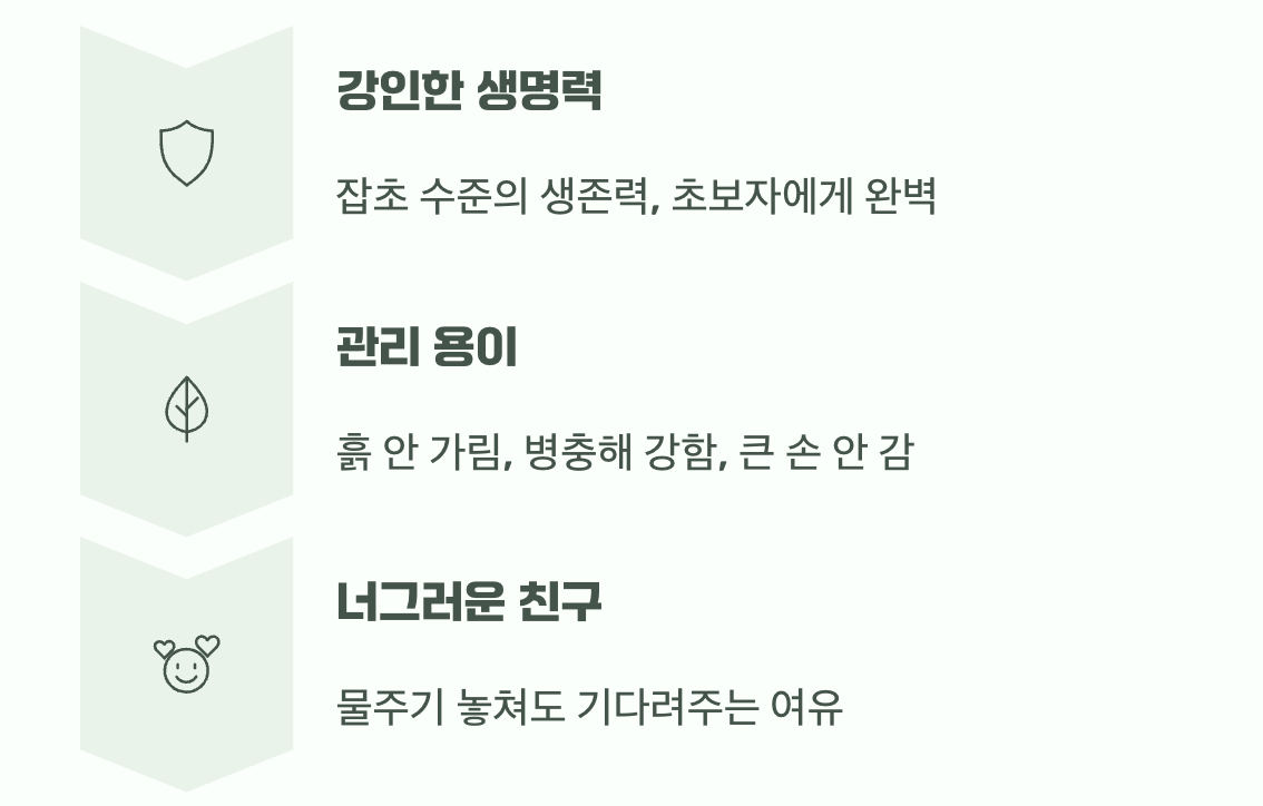 놀라운 생명력의 비밀