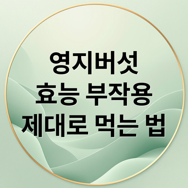 영지버섯 효능