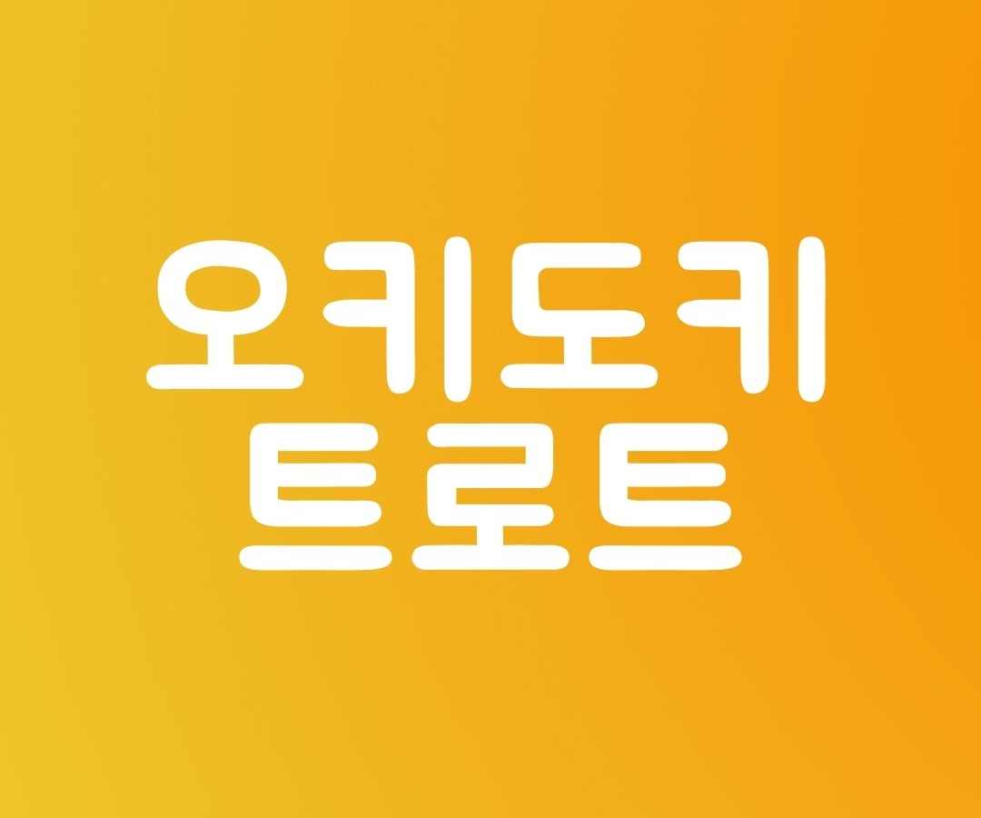오키도키 트로트 노래