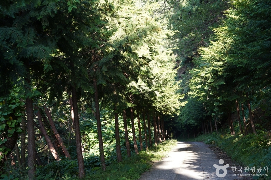 고령 가볼만한곳 베스트10