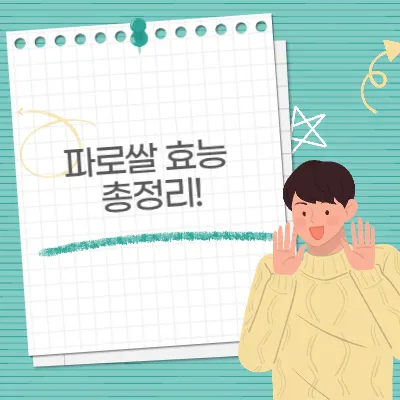 파로쌀 효능 총정리! 혈당 조절·다이어트에 좋은 이유 5가지
