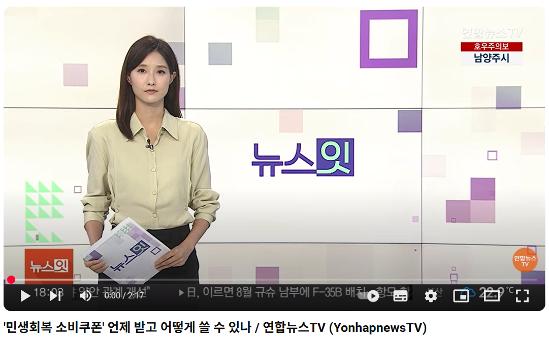 민생회복 소비쿠폰 사용방법 출처 : 연합뉴스TV